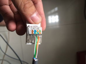 網線面板的接法詳解 從線序標準到操作步驟